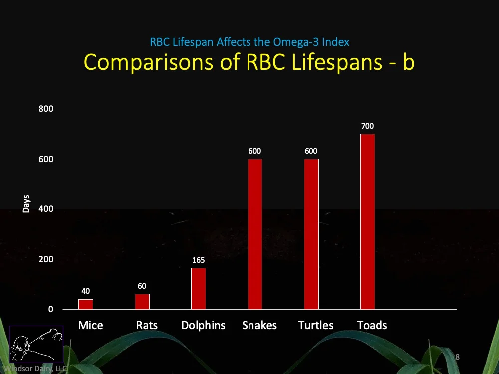 RBC Lifespan and Omega-3 Index Testing: Helping You Decide When to Have Your Omega-3 Index Test Performed